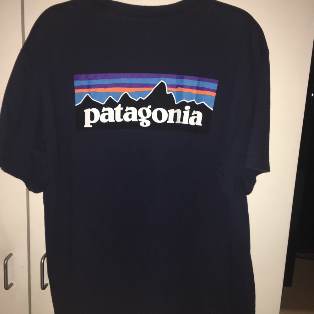 Patagonia Tee